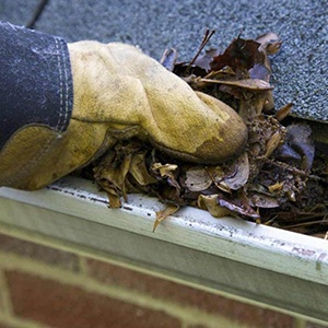 Gutter Cleaning image 2