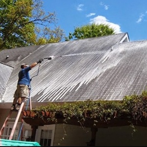Pressure-Free-Roof-Cleaning image 5